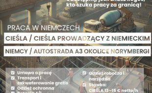 Ogłoszenia Tarnobrzeg - OGŁOSZENIA Tarnobrzeg - Info Tarnobrzeg Serwis Ogłoszeniowy i Informacyjny 13 Ogłoszenia Tarnobrzeg - ciesla norymberga